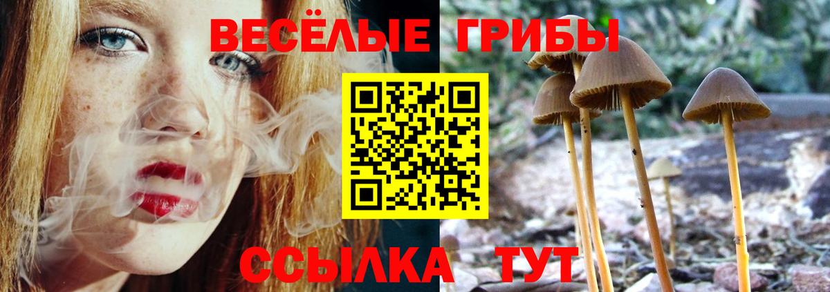 Псилоцибиновые грибы Psilocybe  Вход с VPN  Галлюциногенные грибы MAGIC MUSHROOMS  где купить наркотик  Барнаул 